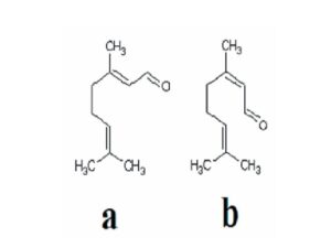 The chemical structures of (a) neral (α-citral) and (b) geranial (β-citral), the major oil components of B. citriodora leaf essential oils.