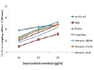 Scavenging effects of EPS from G. lucidum on Hydrogen peroxide extracted from medium contained Maltose