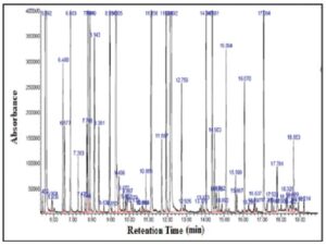 Chromatogram of M. aquatica essential oil obtained by GC