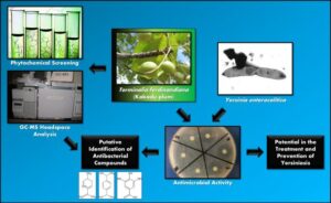 PICTORIAL ABSTRACT