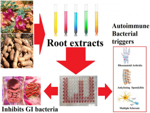 Antibacterial Activity of Harpagophytum procumbens (Burch.) DC. ex Meisn. Root Extracts against Gastrointestinal Pathogens and Bacterial Triggers of Autoimmune Diseases
